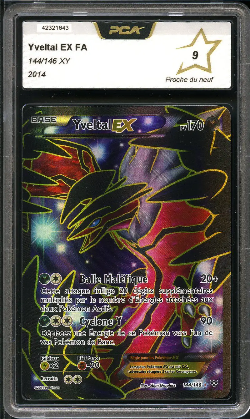 PCA 9 Yveltal Ex