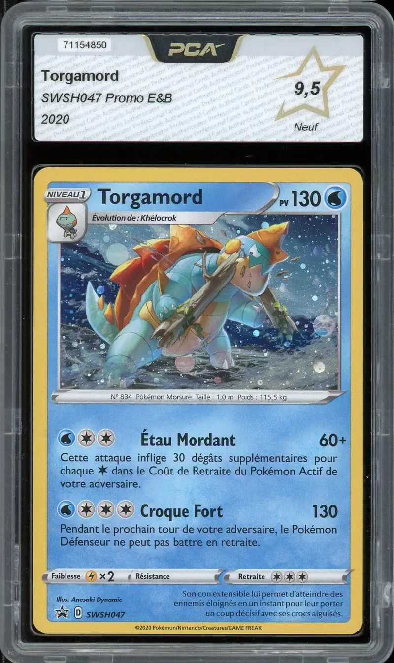 PCA 9.5 Torgamord