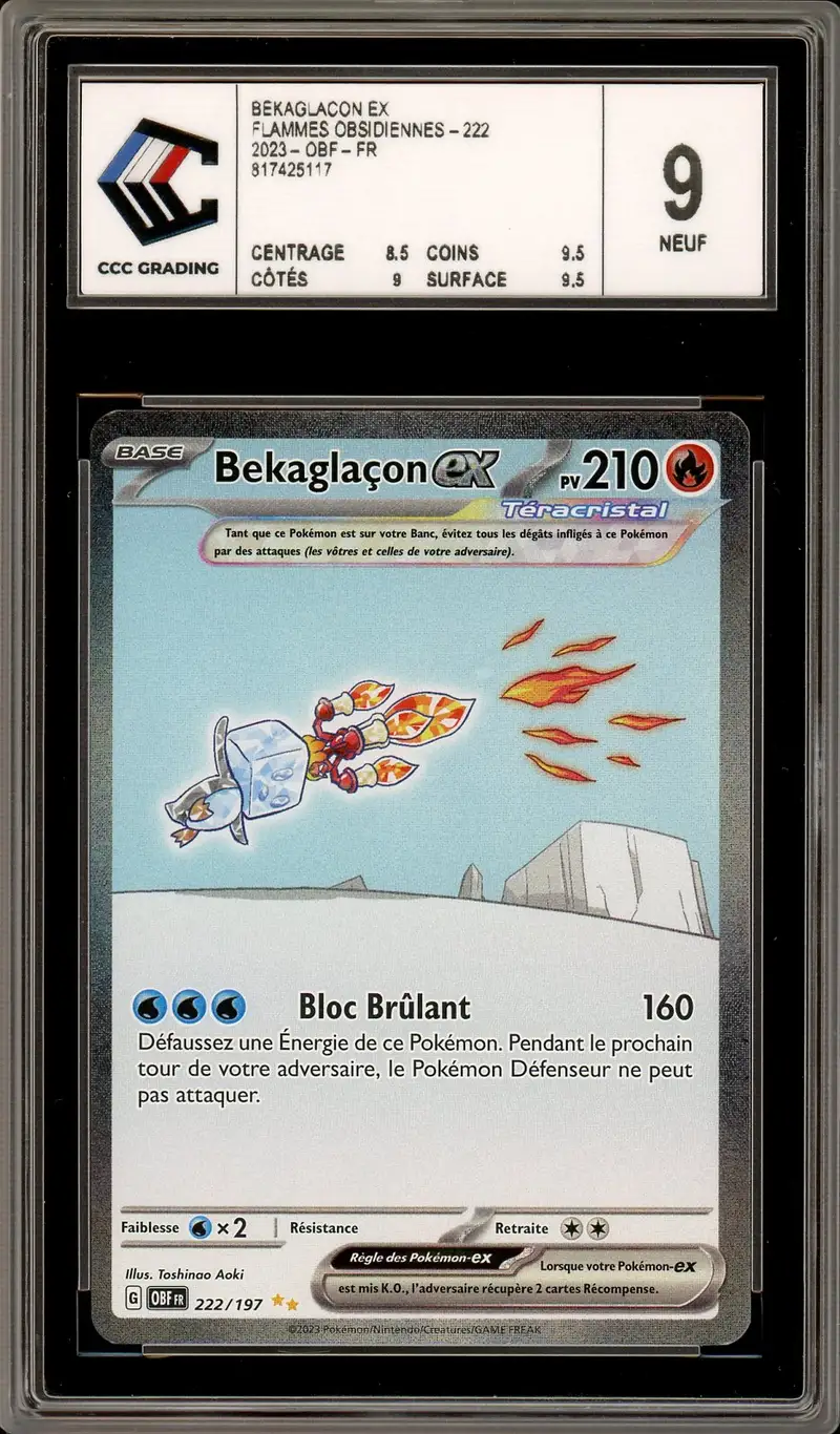 CCC 9 Bekaglaçon Ex