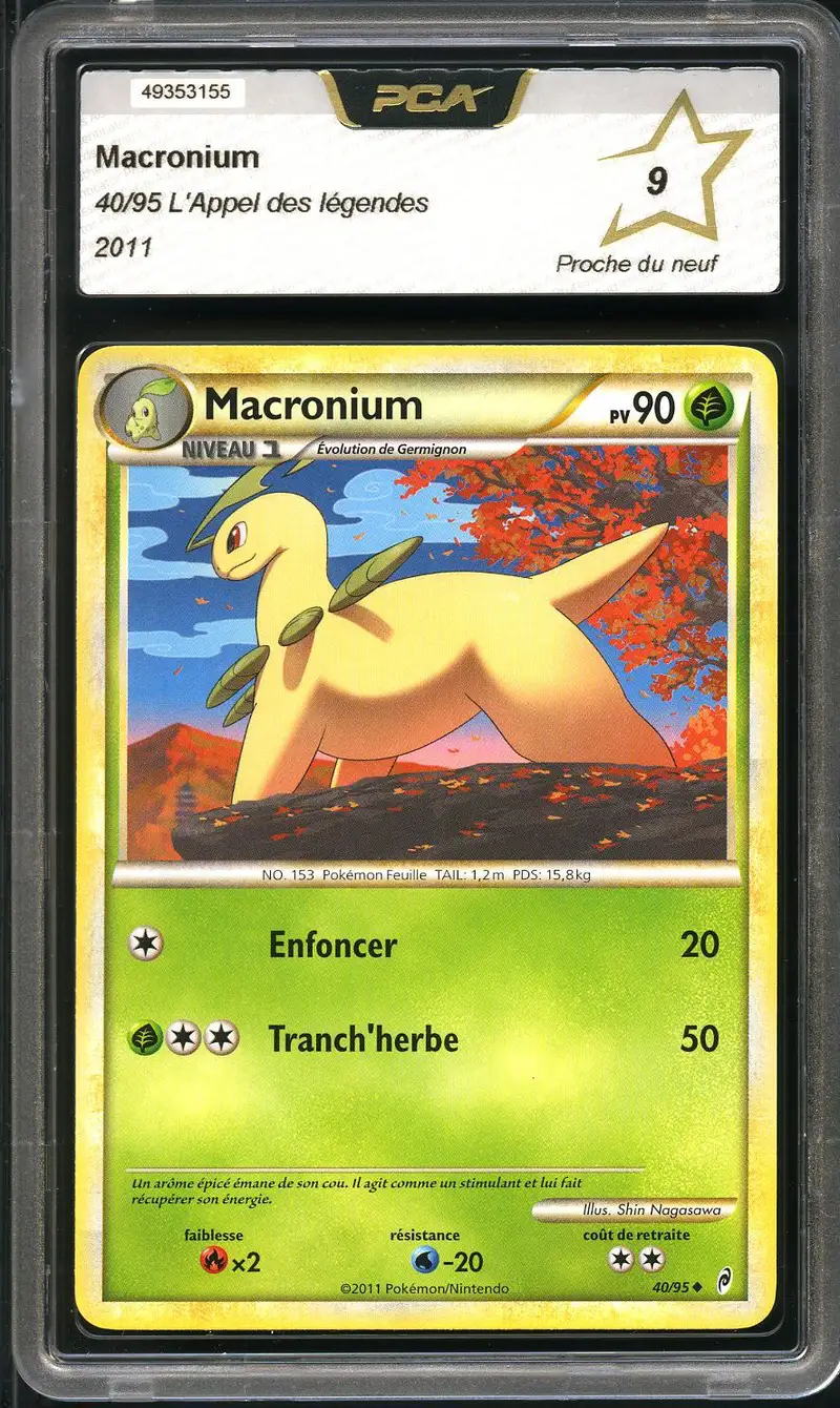 PCA 9 Macronium