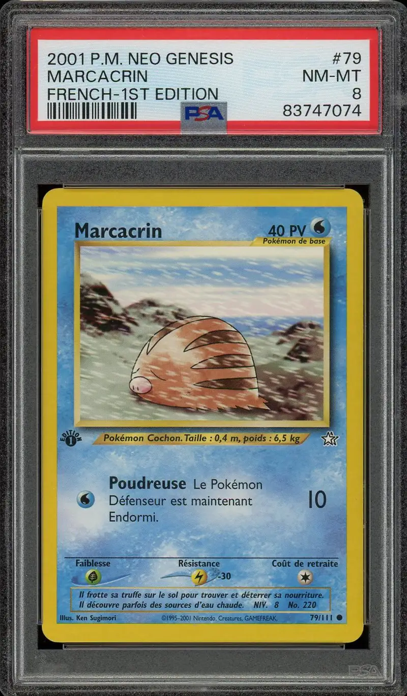 PSA 8 Marcacrin