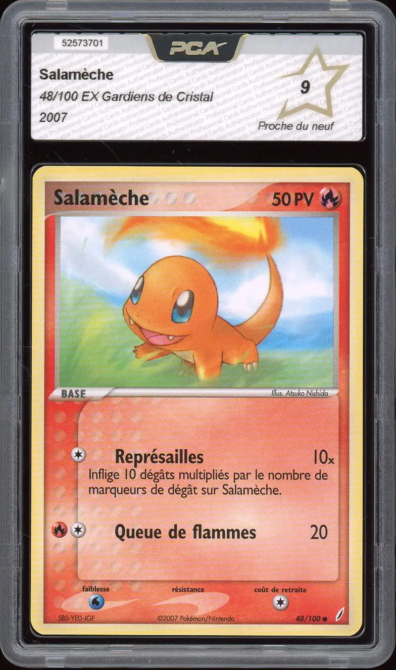 PCA 9 Salamèche