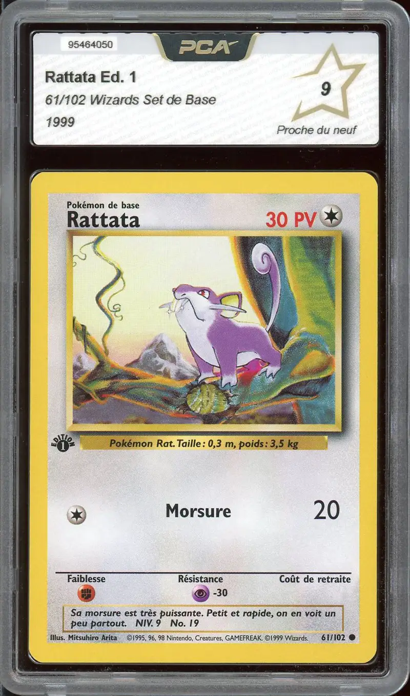 PCA 9 Rattata