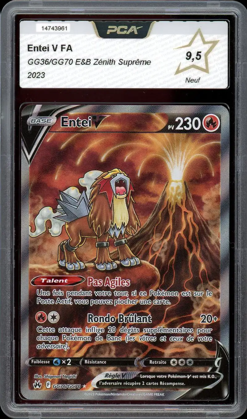 PCA 9.5 Entei V