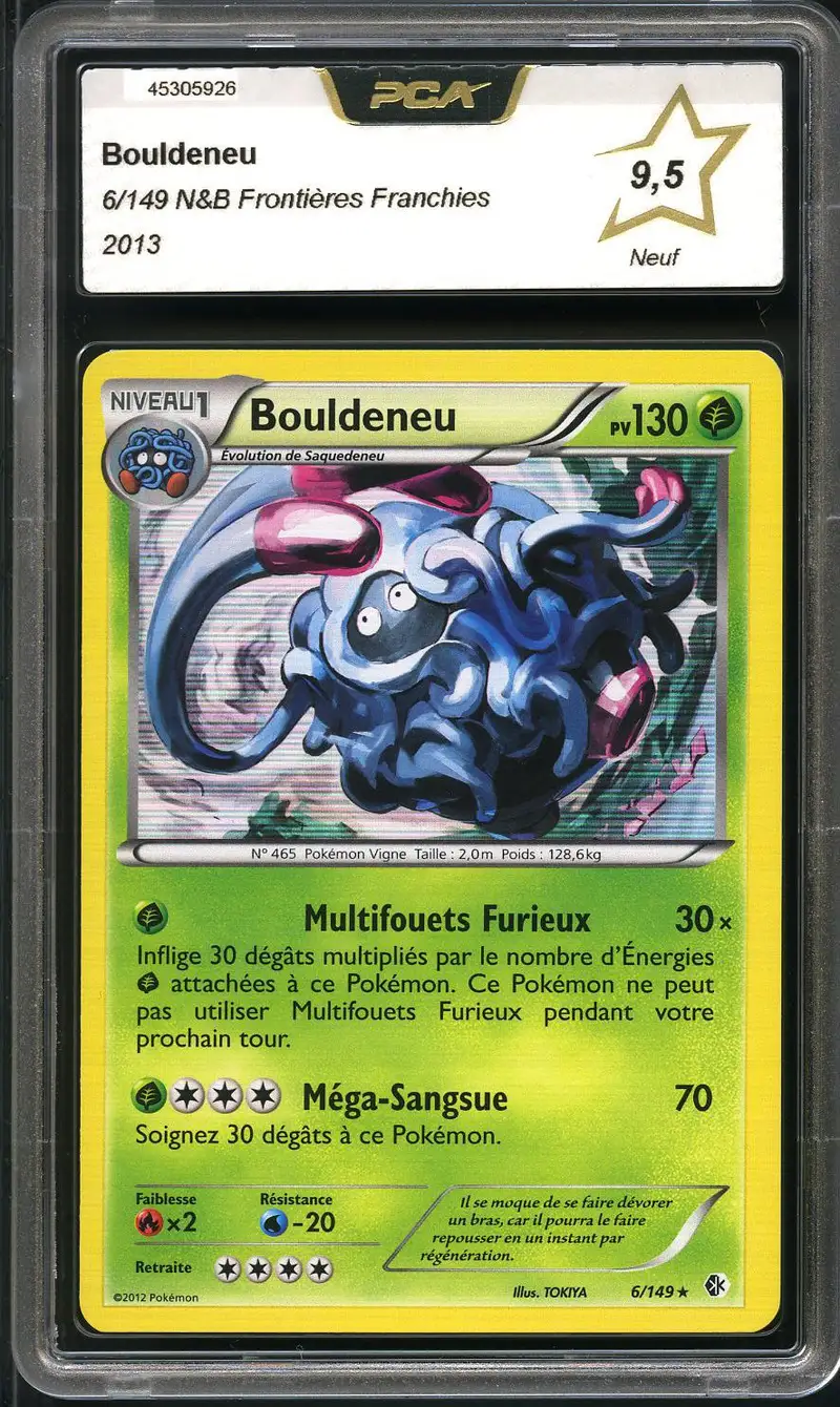 PCA 9.5 Bouldeneu Holo