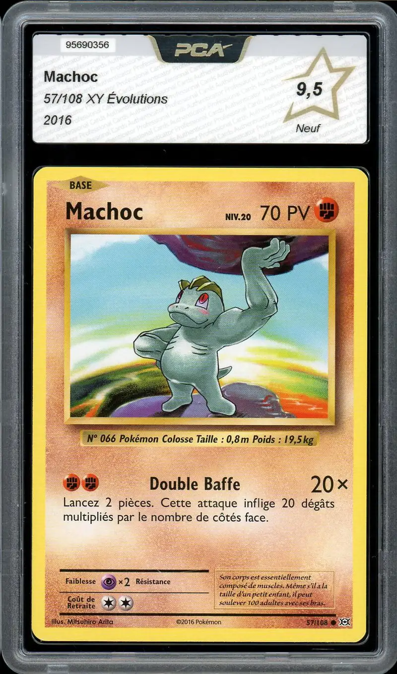 PCA 9.5 Machoc