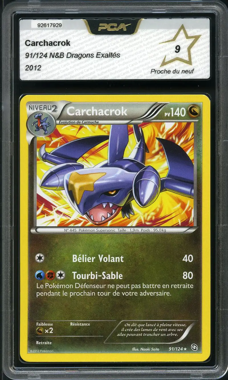 PCA 9 Carchacrok