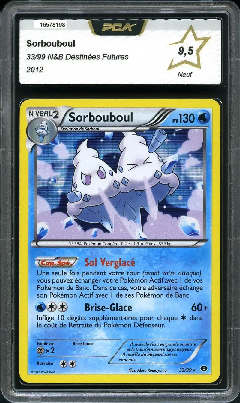 PCA 9.5 Sorbouboul Holo