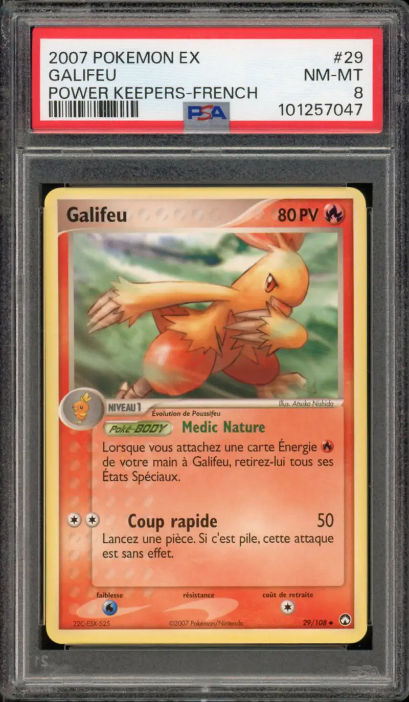 PSA 8 Galifeu