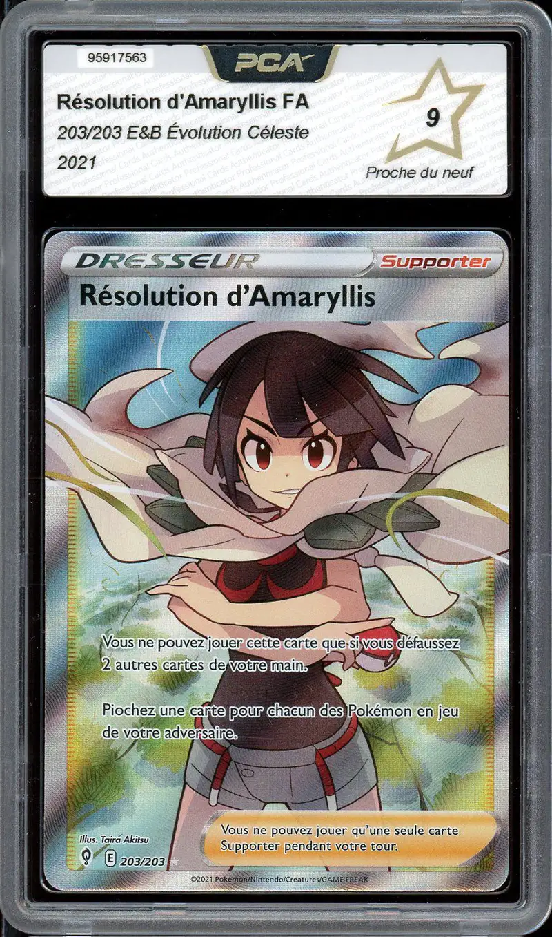 PCA 9 Résolution d'Amaryllis