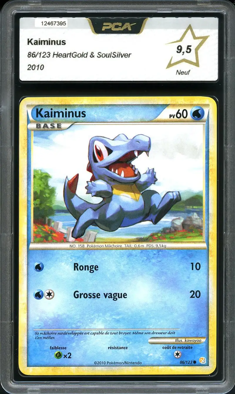 PCA 9.5 Kaiminus