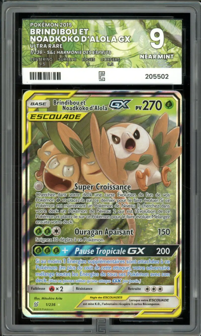 PG 9 Brindibou & Noadkoko d'Alola Gx
