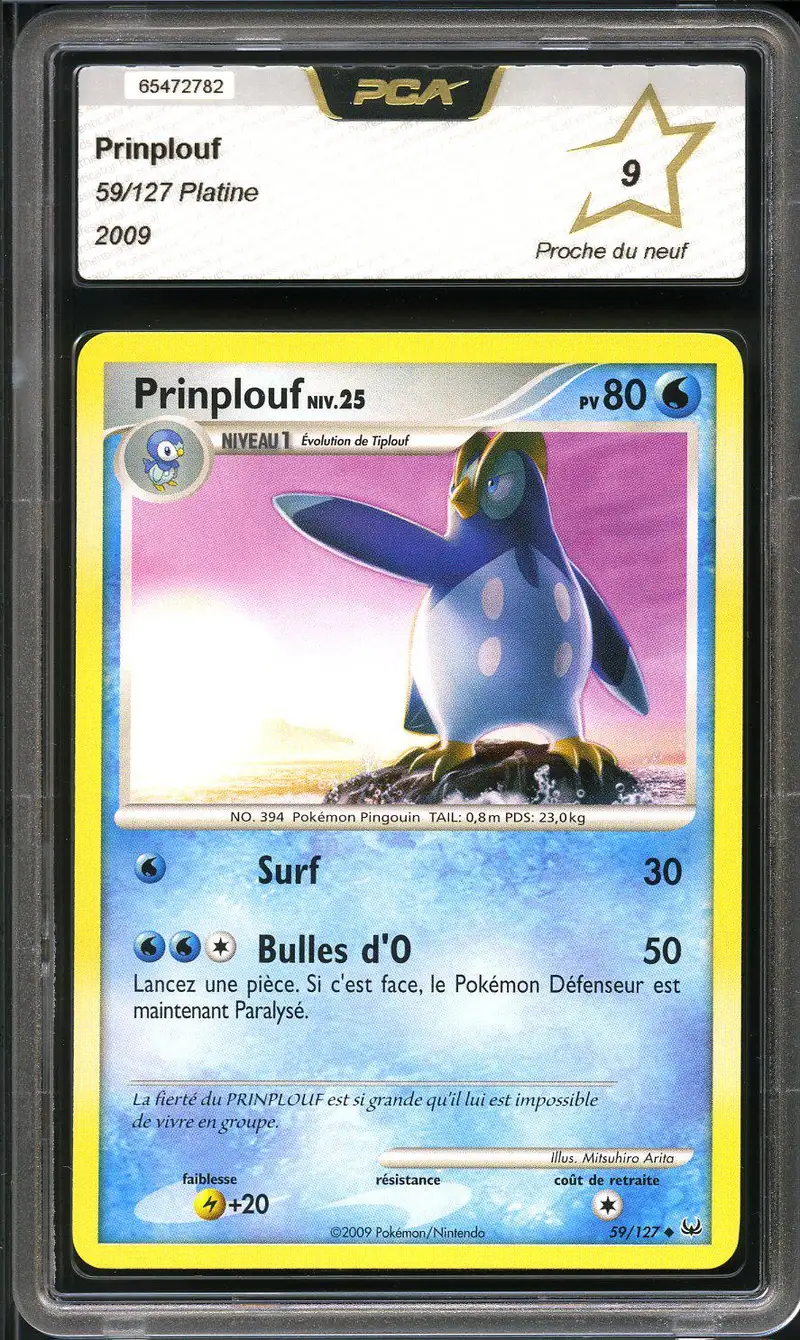 PCA 9 Prinplouf
