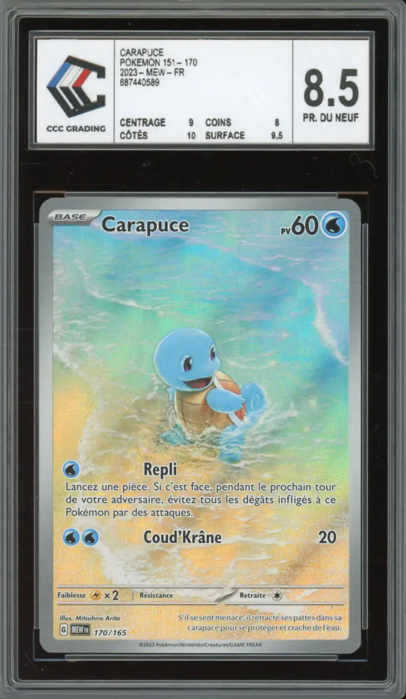 CCC 8.5 Carapuce