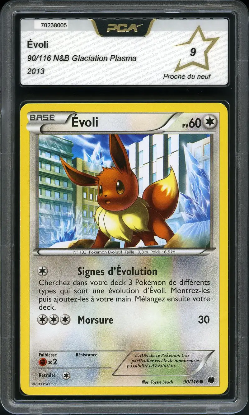PCA 9 Evoli