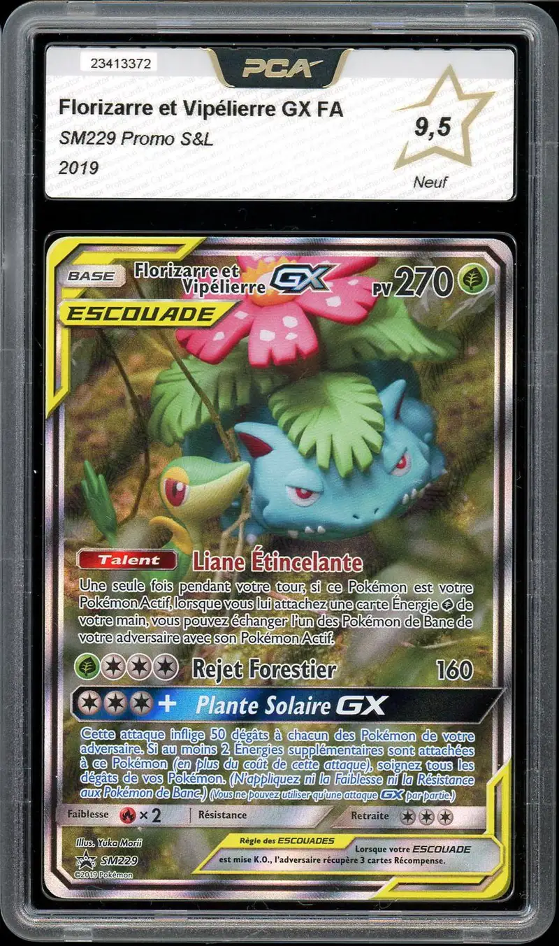 PCA 9.5 Florizarre et Vipélierre Gx