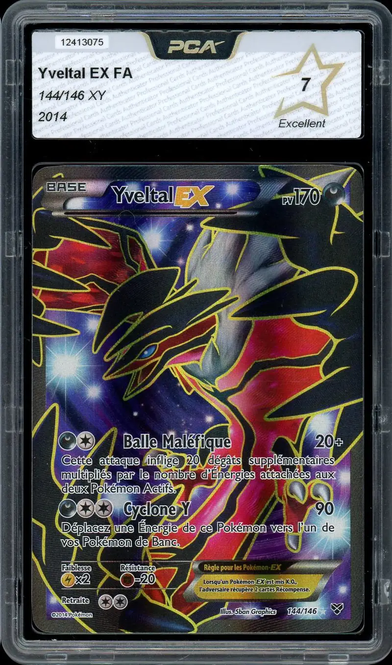 PCA 7 Yveltal Ex