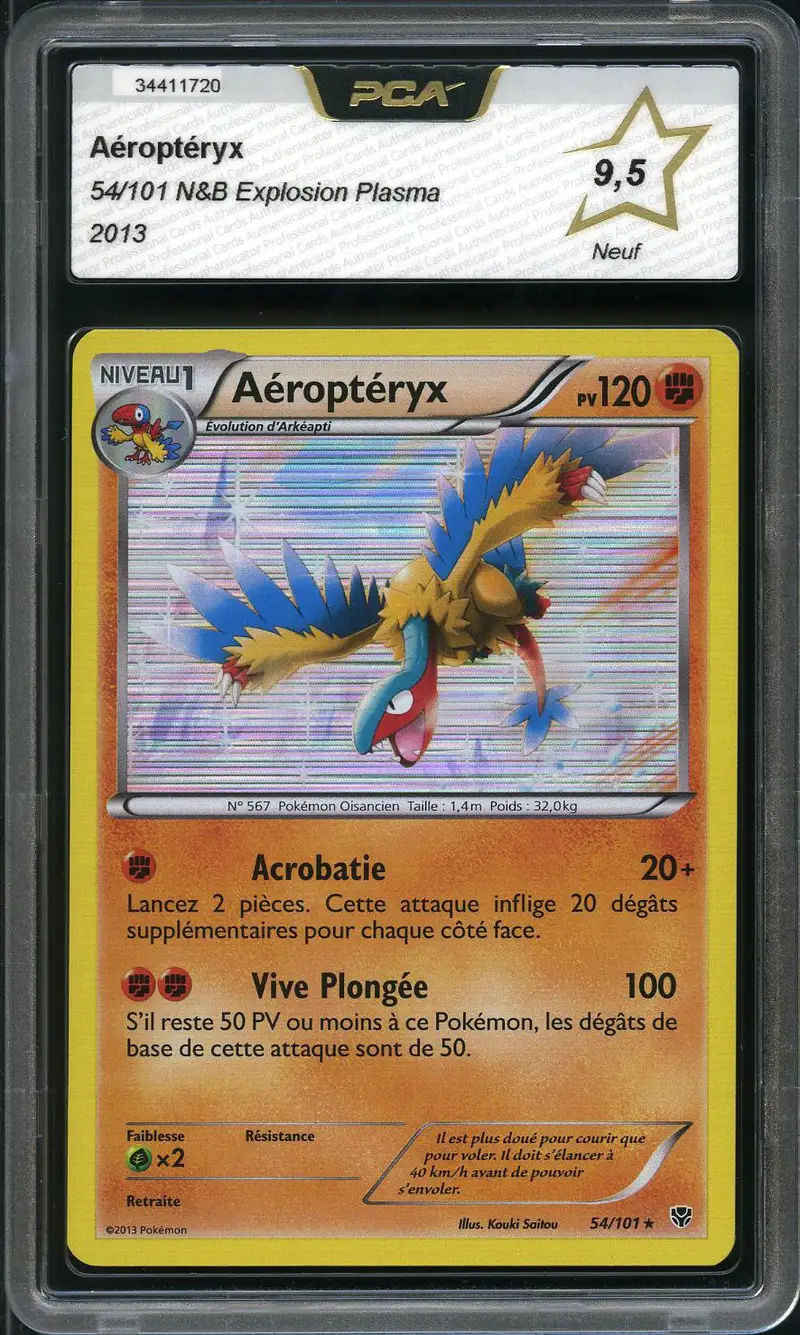 PCA 9.5 Aéroptéryx Holo