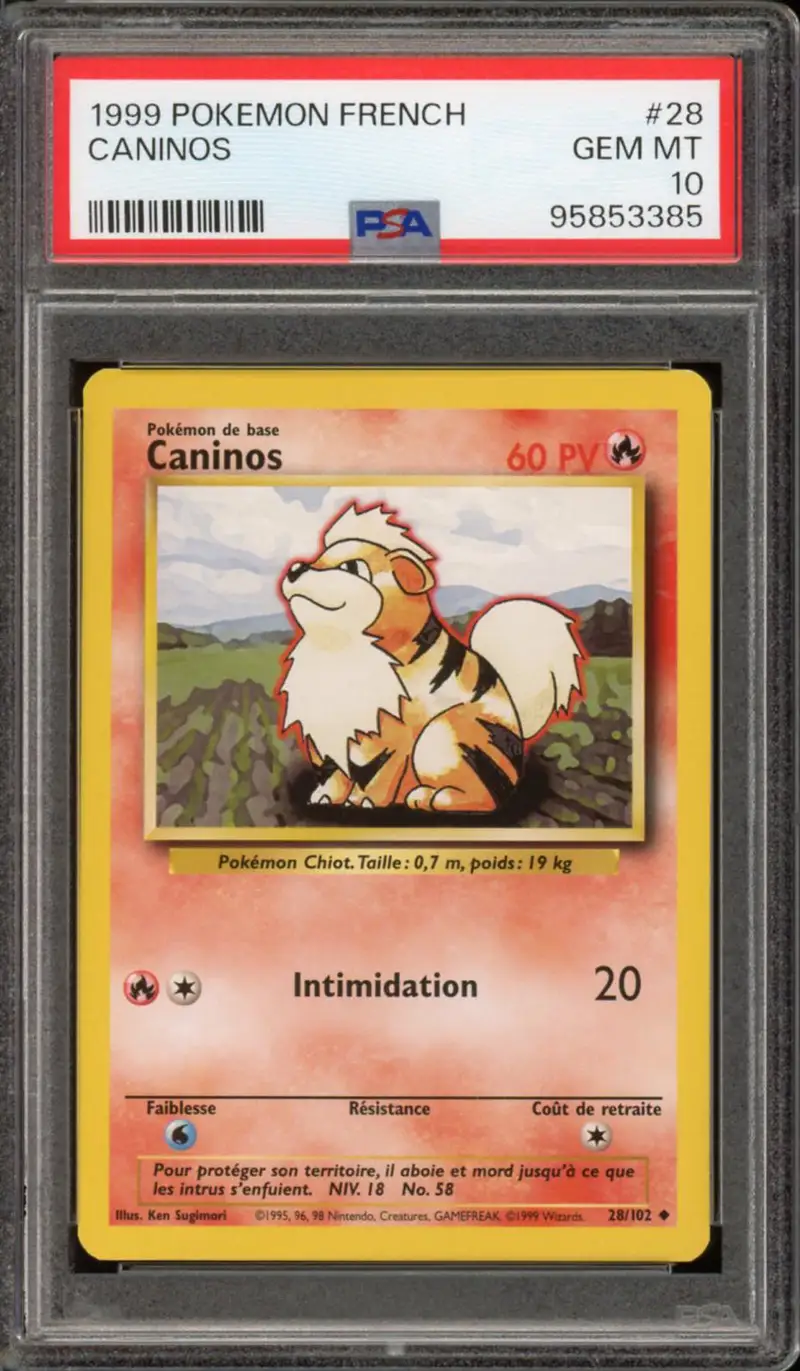 PSA 10 Caninos