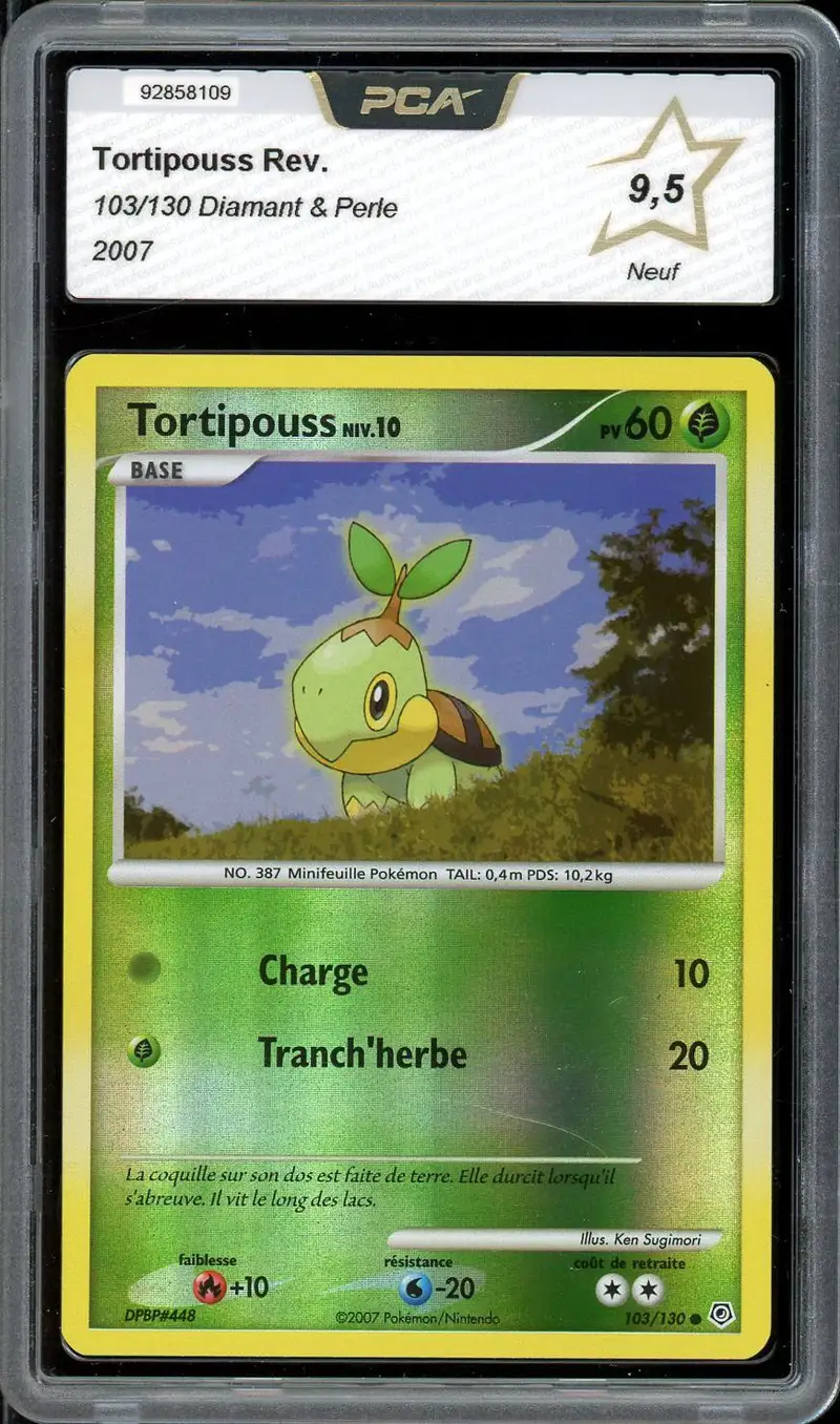 PCA 9.5 Tortipouss Reverse