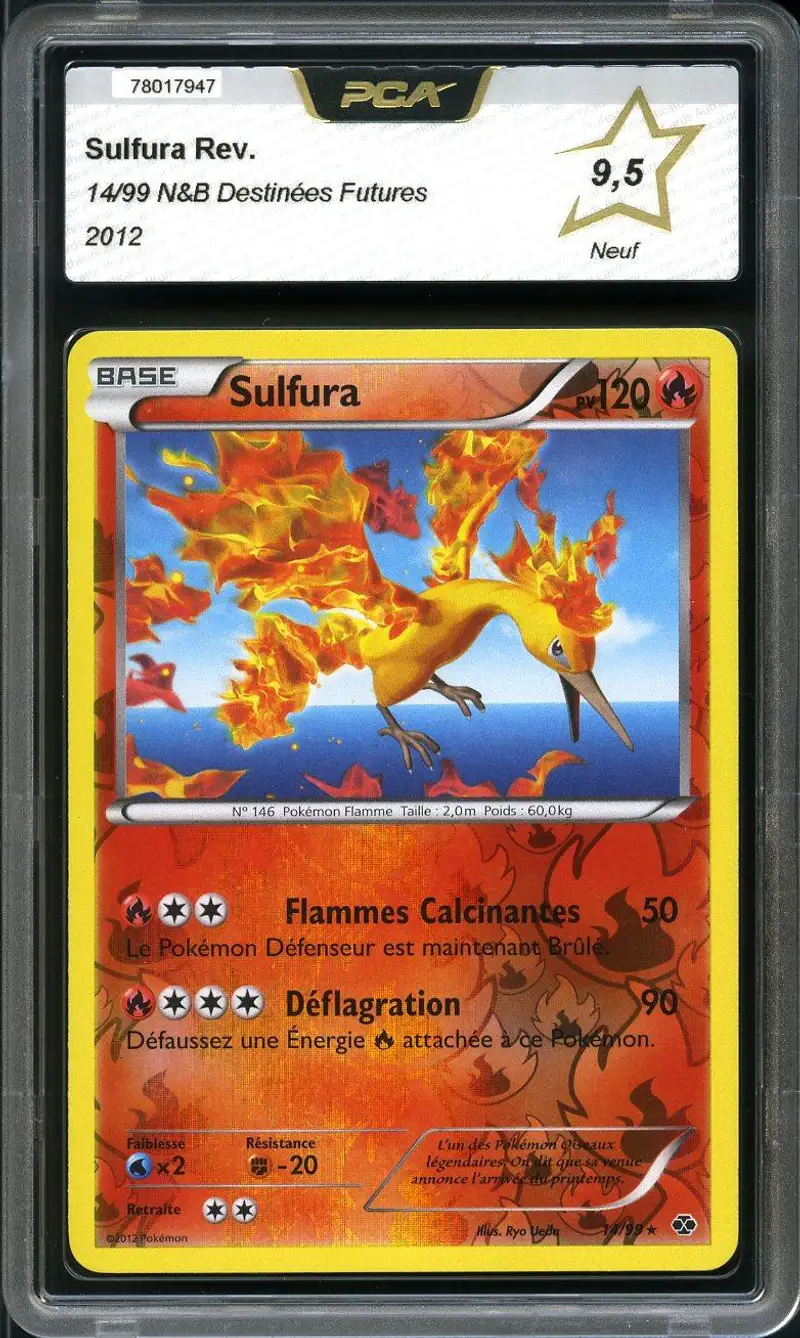 PCA 9.5 Sulfura Holo