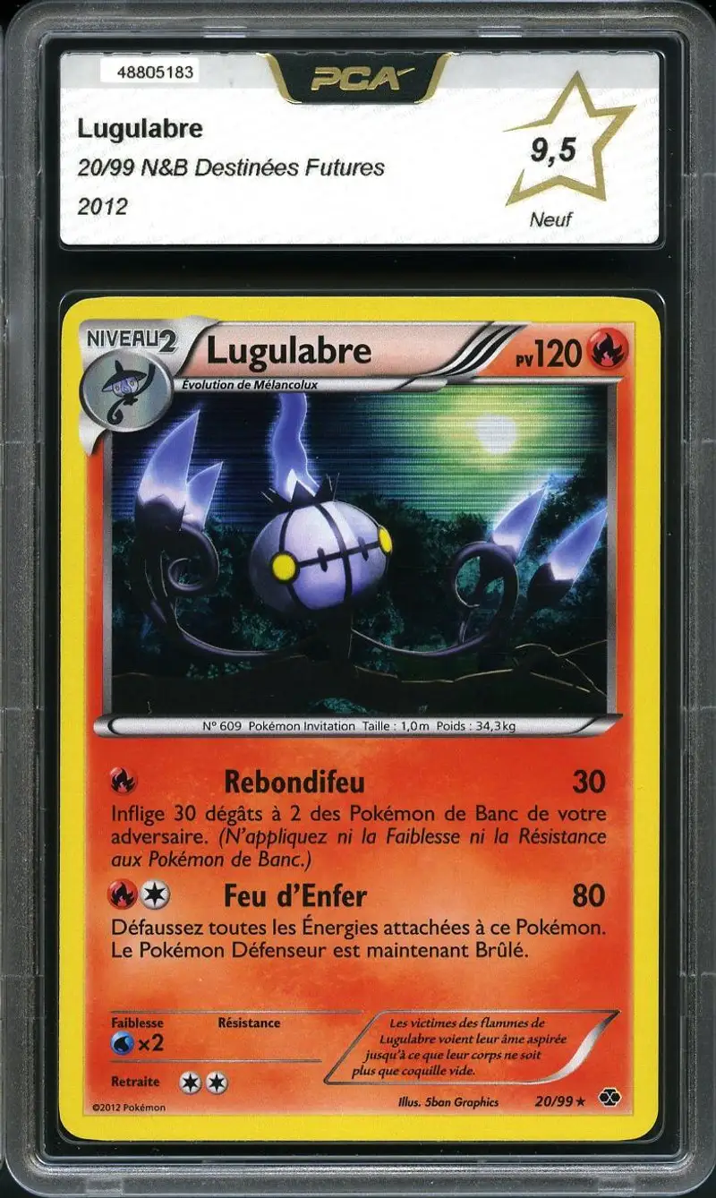 PCA 9.5 Lugulabre Holo
