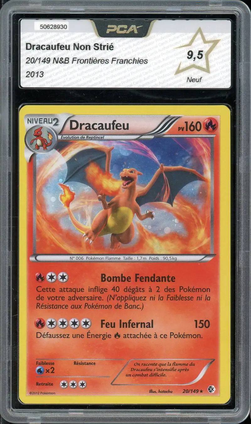 PCA 9.5 Dracaufeu Holo