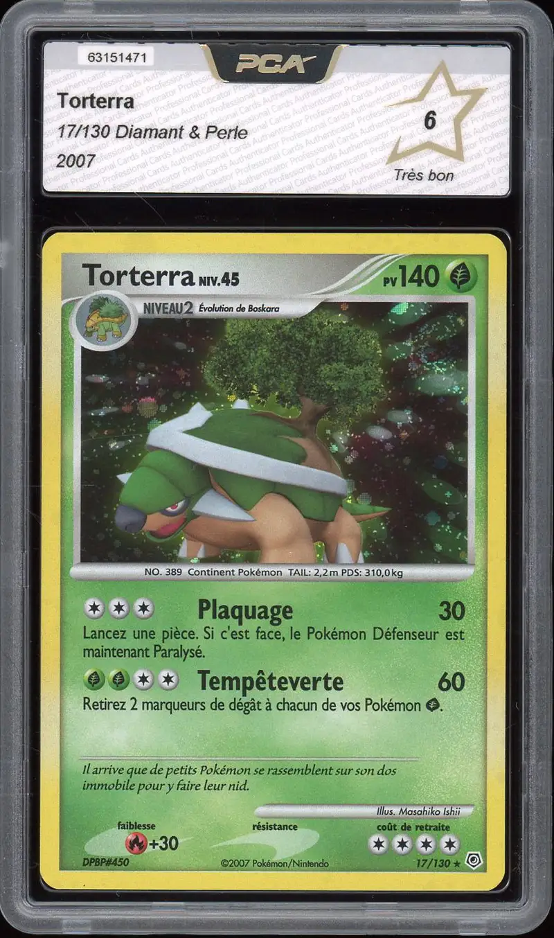 PCA 6 Torterra Holo