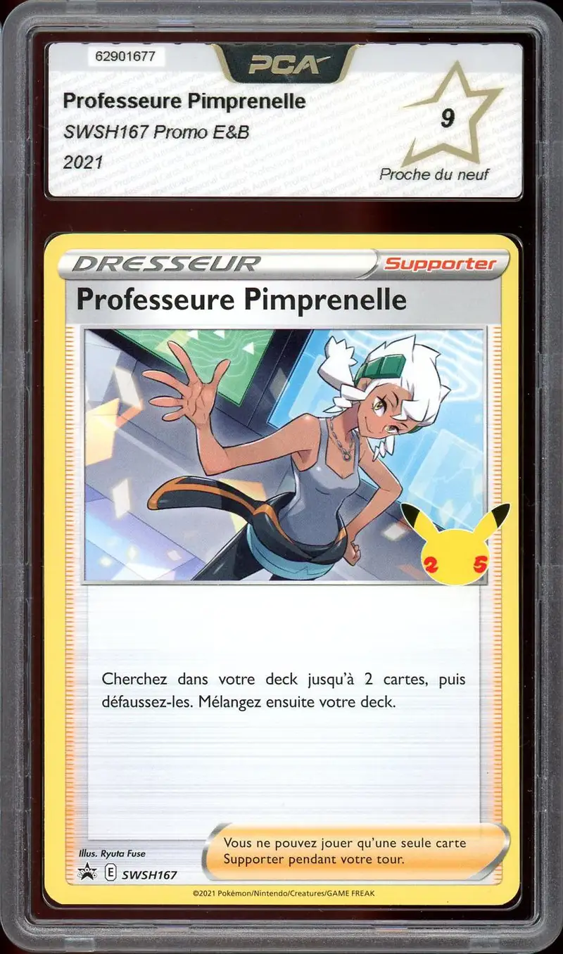 PCA 9 Professeure Pimprenelle