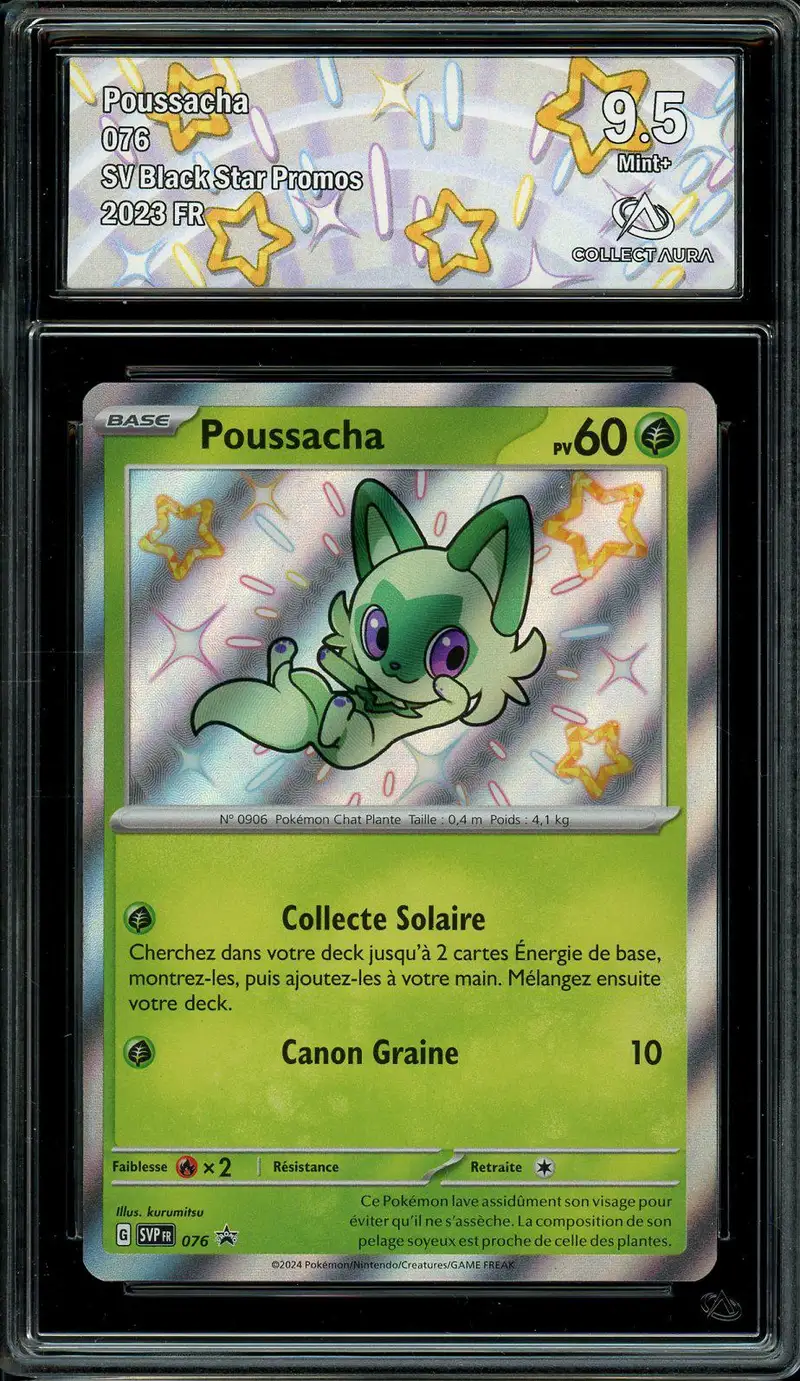 CA 9,5 Poussacha