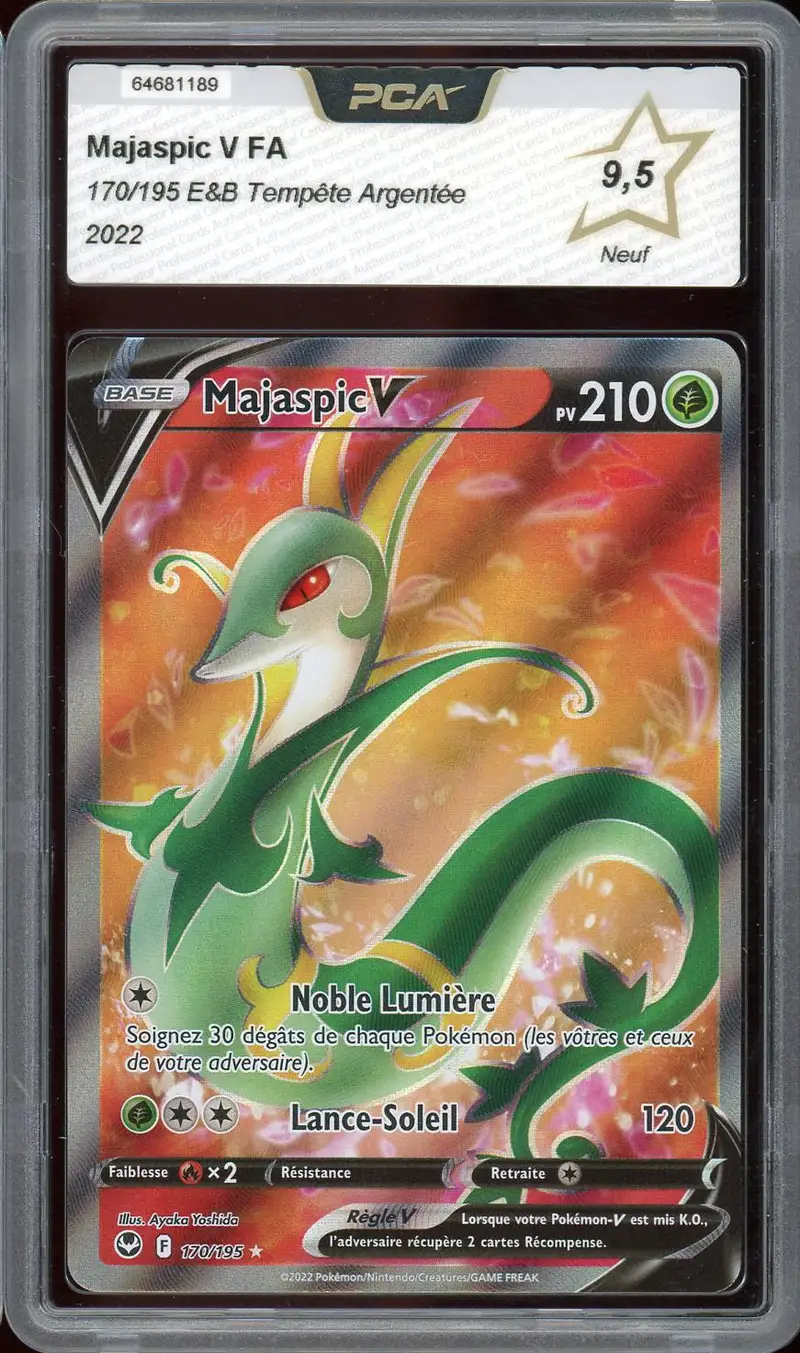 PCA 9.5 Majaspic V