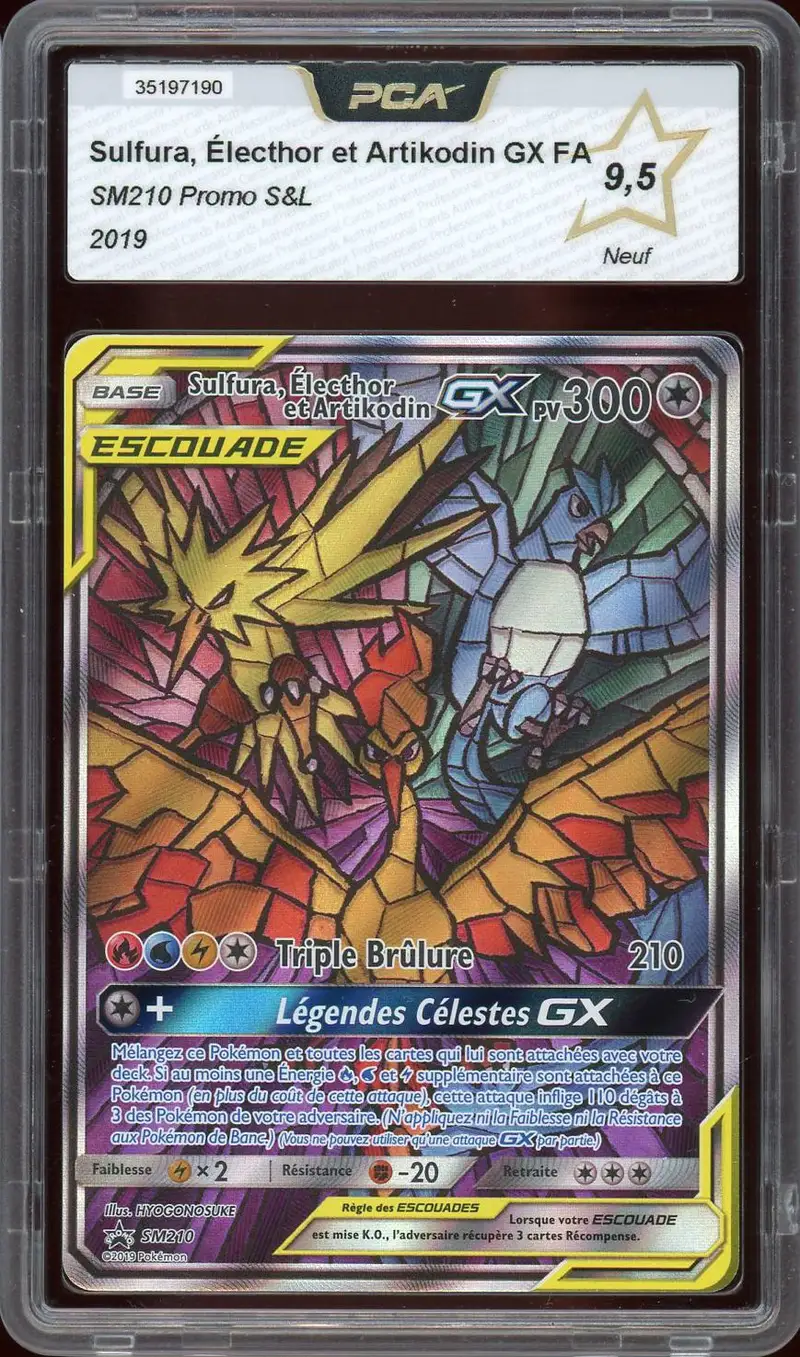 PCA 9.5 Sulfura, Électhor et Artikodin Gx