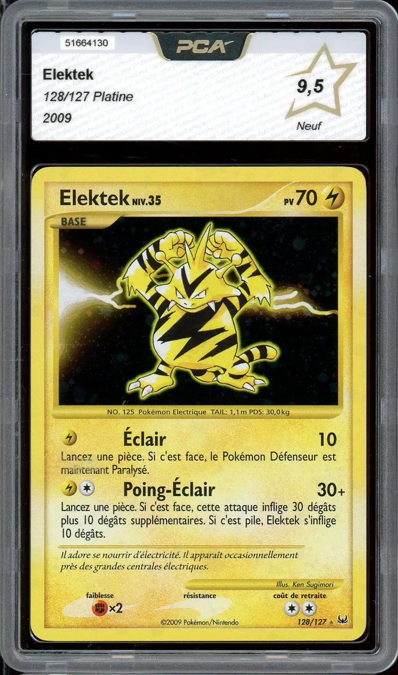 PCA 9.5 Elektek Holo