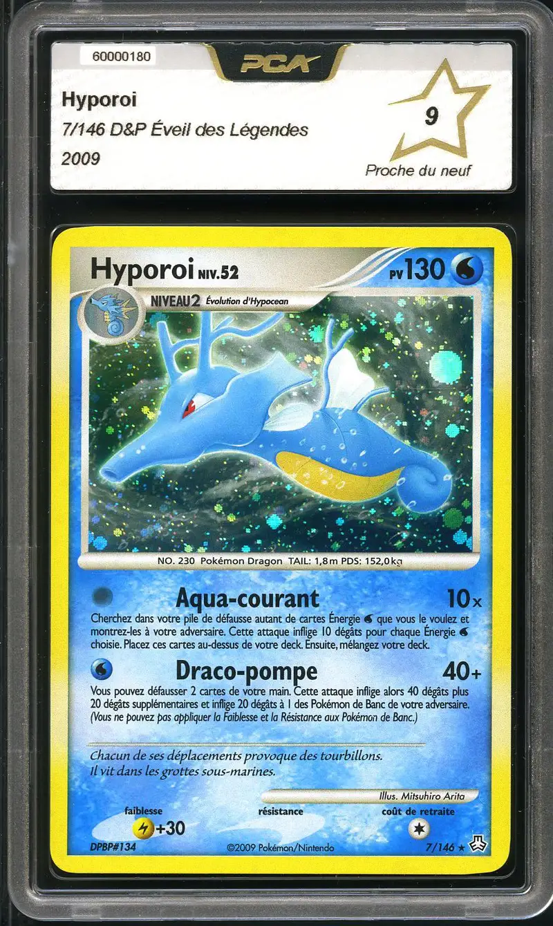 PCA 9 Hyporoi Holo