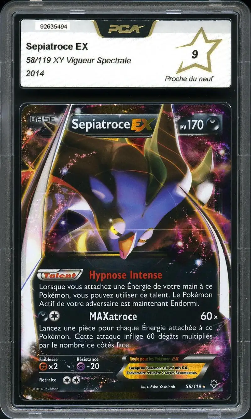 PCA 9 Sépiatroce Ex