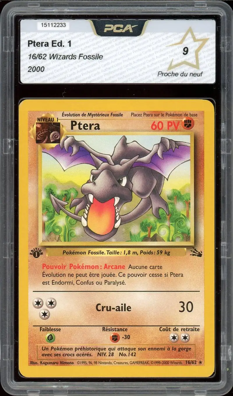 PCA 9 Ptéra