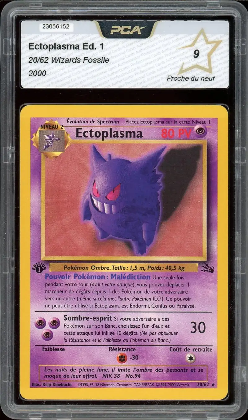 PCA 9 Ectoplasma