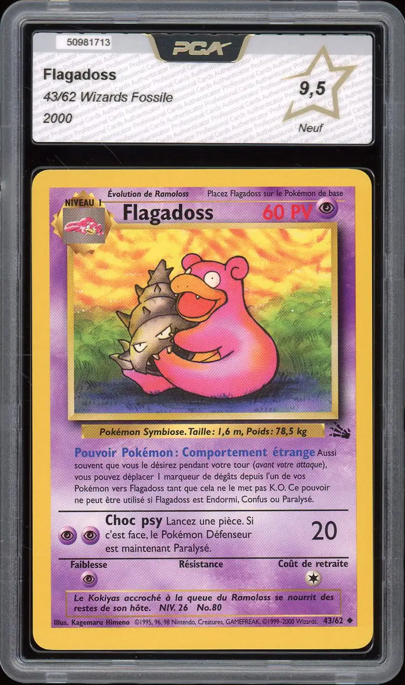 PCA 9.5 Flagadoss