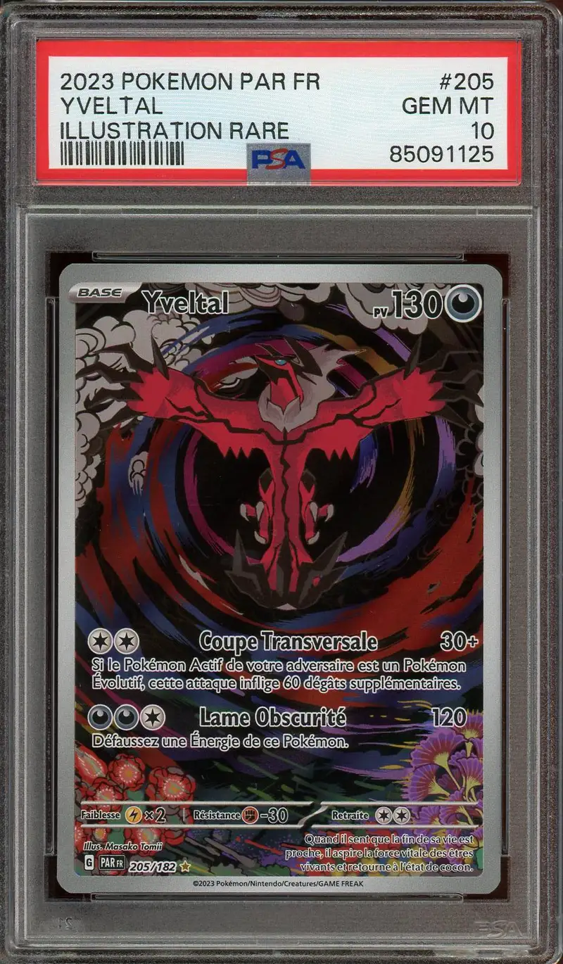PSA 10 Yveltal