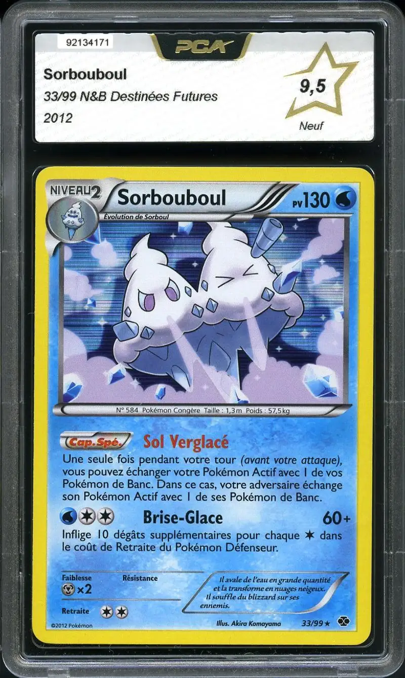 PCA 9.5 Sorbouboul Holo