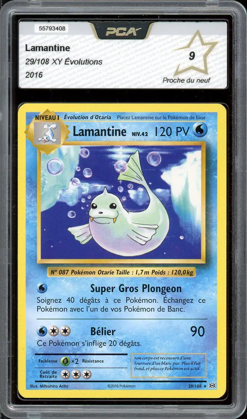 PCA 9 Lamantine