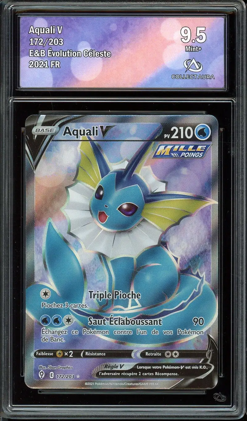CA 9,5 Aquali V