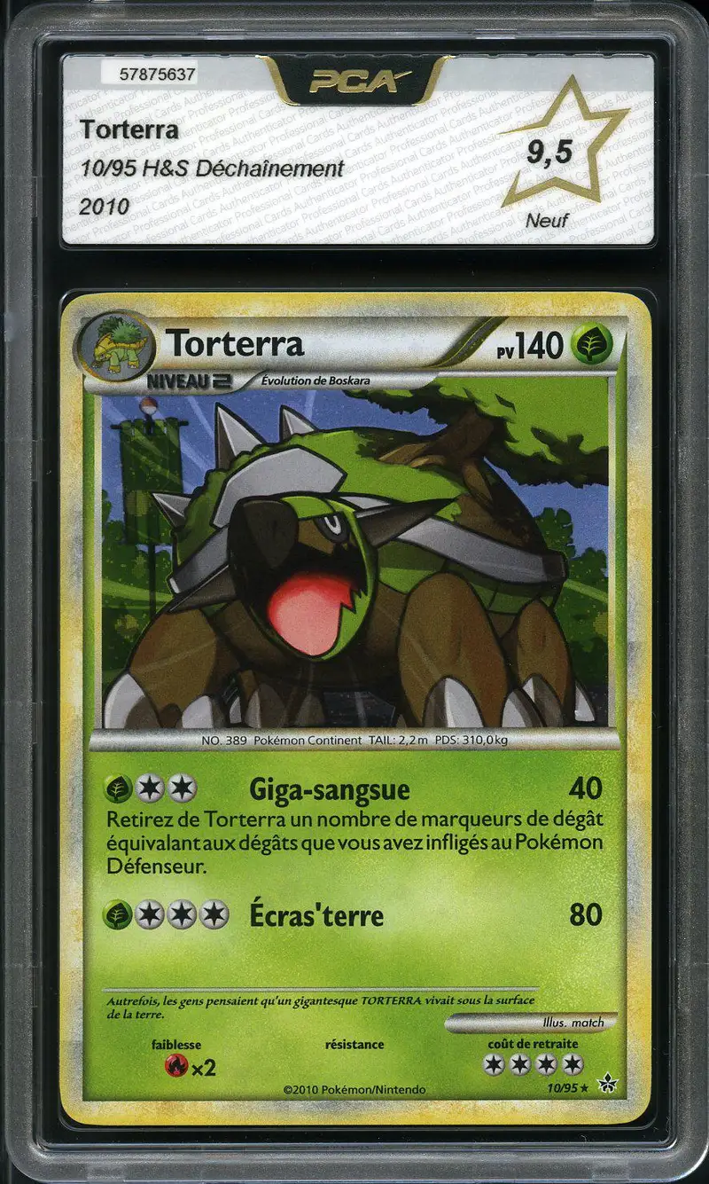PCA 9.5 Torterra