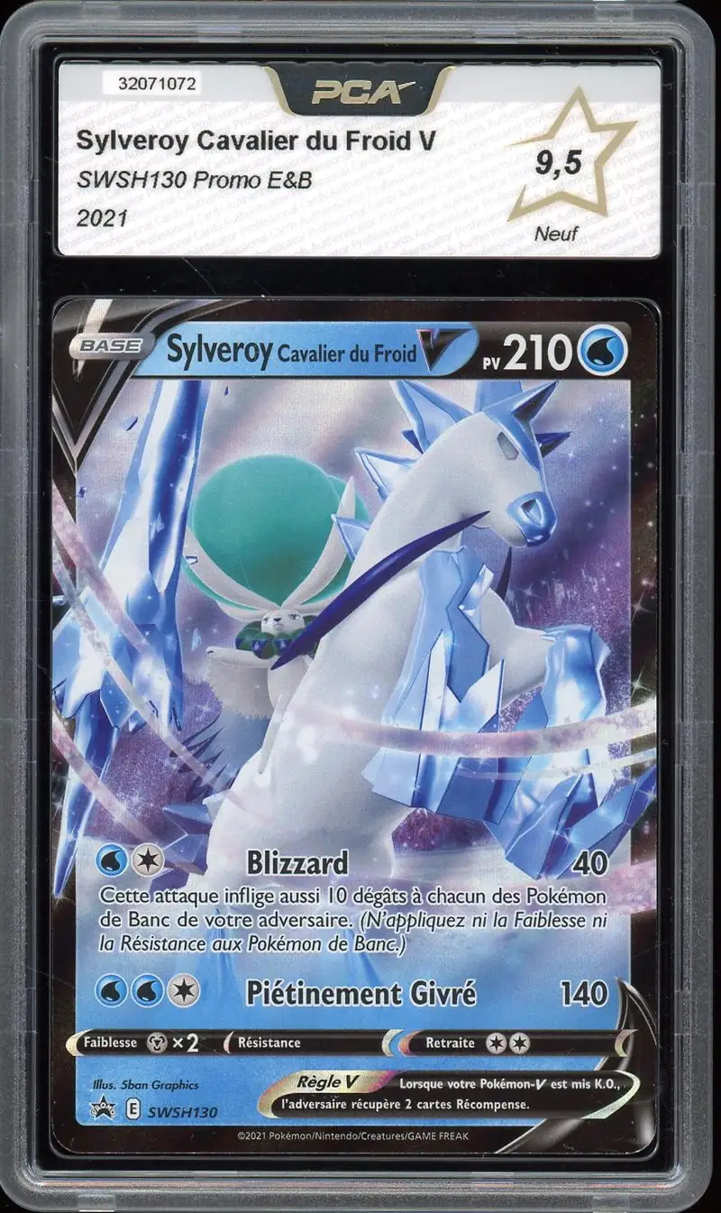 PCA 9.5 Sylveroy Cavalier du Froid V