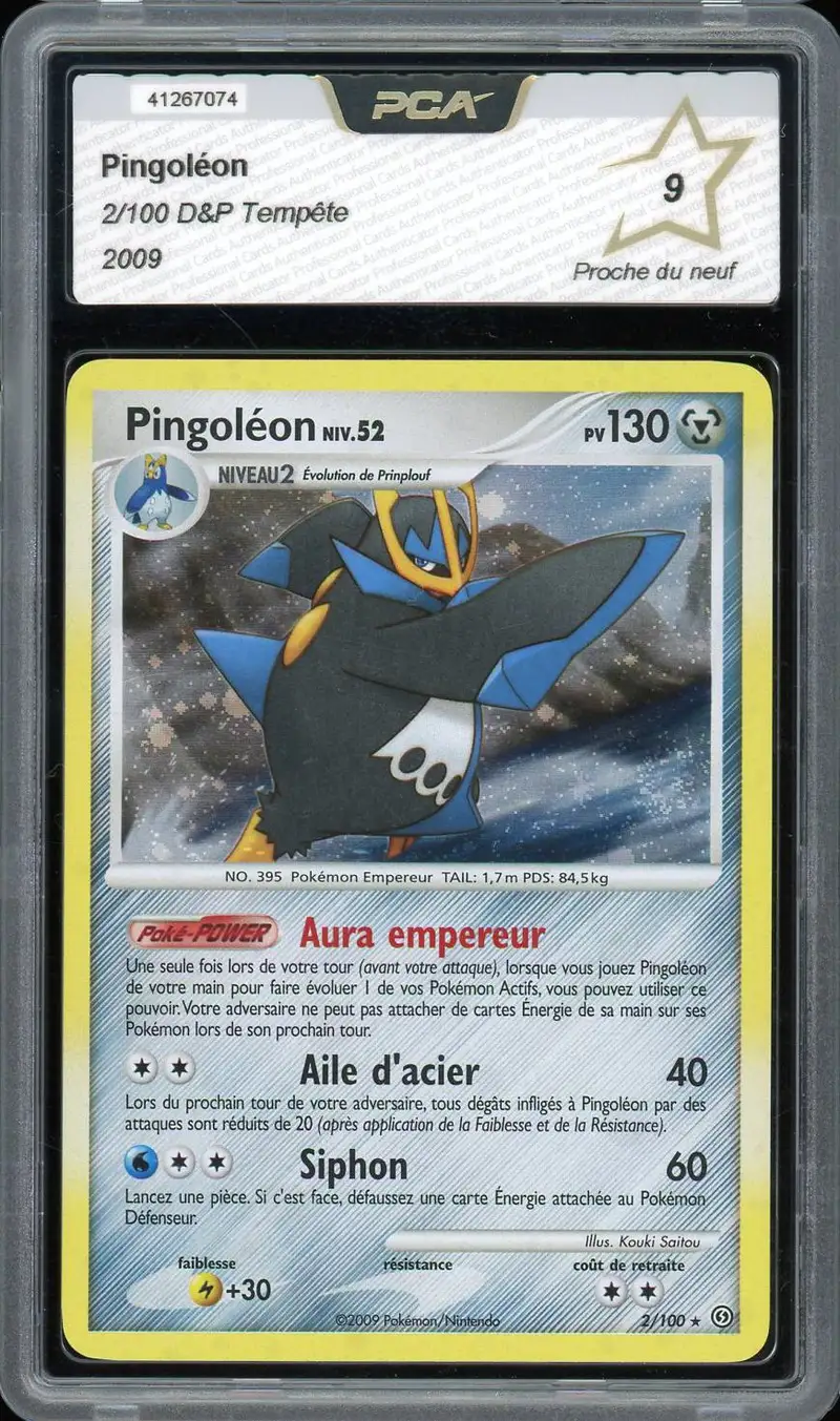 PCA 9 Pingoléon Holo