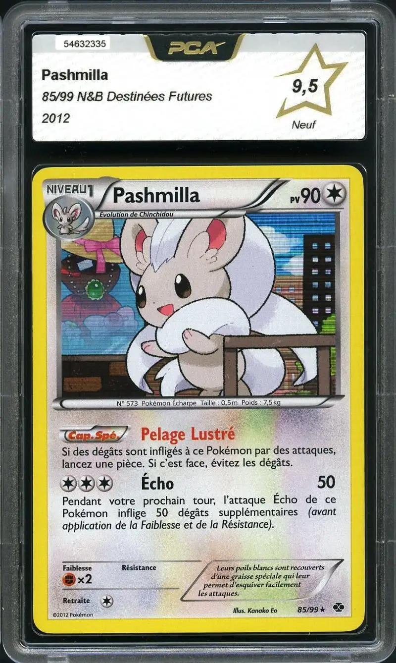 PCA 9.5 Pashmilla Holo