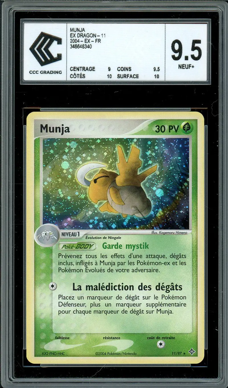 CCC 9.5 Munja Holo
