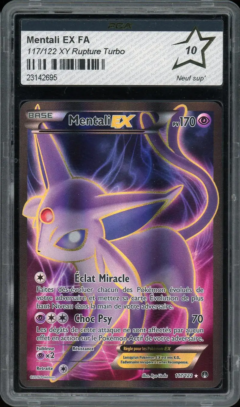 PCA 10 Mentali Ex