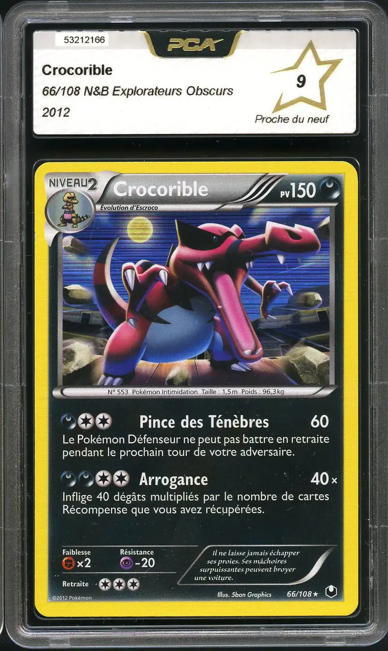 PCA 9 Crocorible Holo