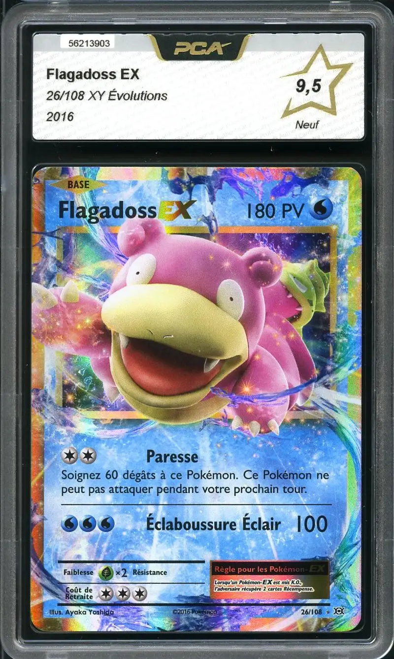 PCA 9.5 Flagadoss Ex